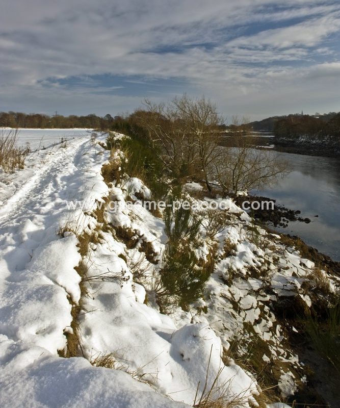 River Tyne in winter near Wylam,  Northumberland