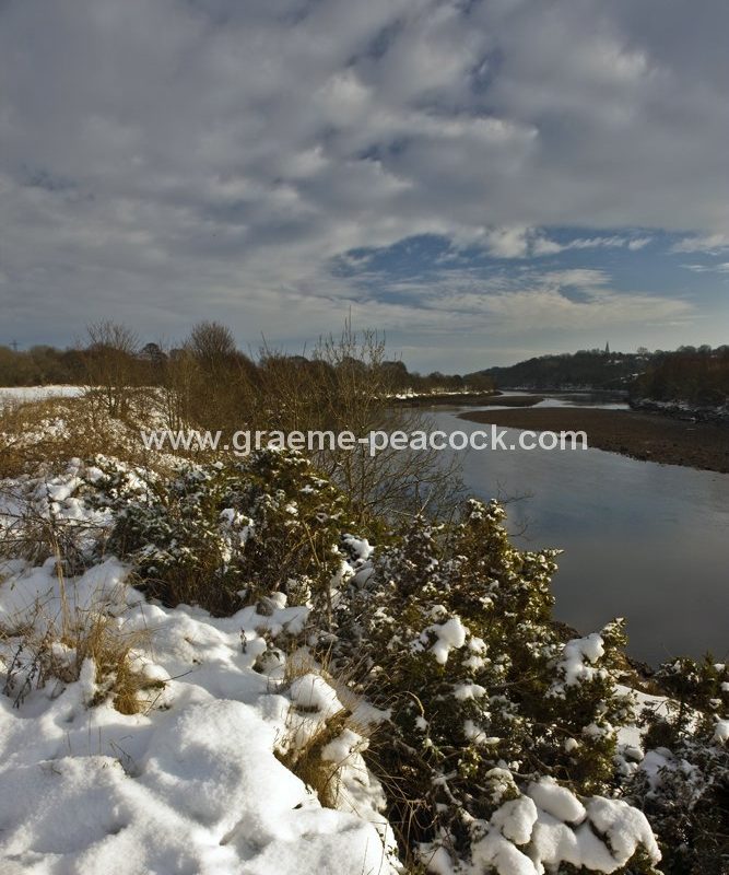 River Tyne in winter near Wylam,  Northumberland