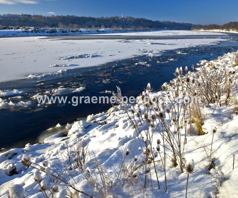 River Tyne in winter near Wylam,  Northumberland