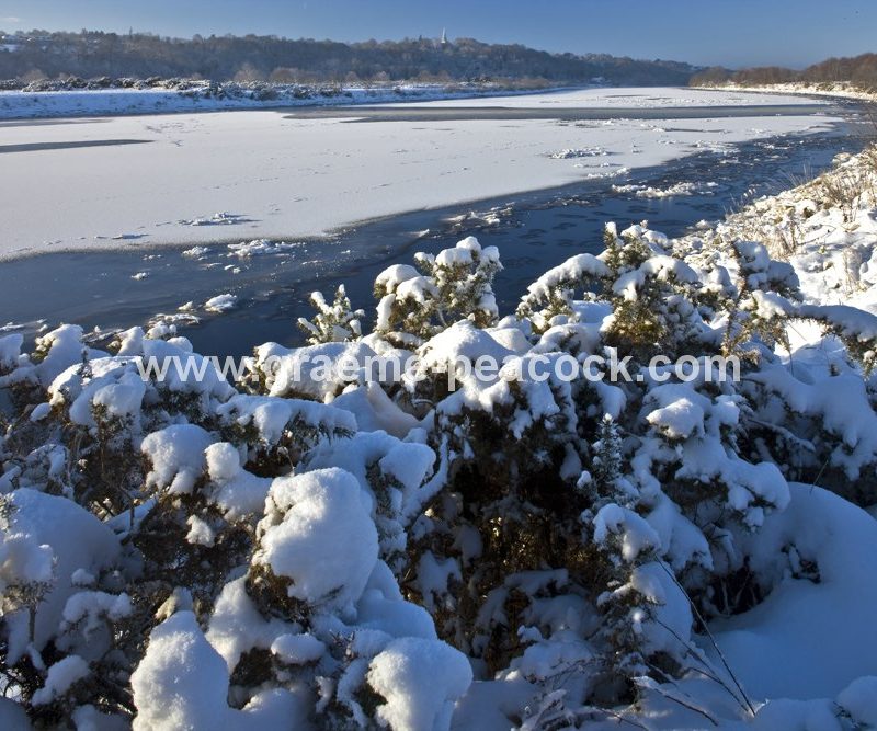 River Tyne in winter near Wylam,  Northumberland