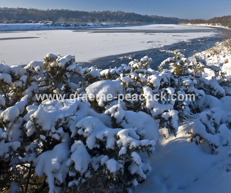 River Tyne in winter near Wylam,  Northumberland