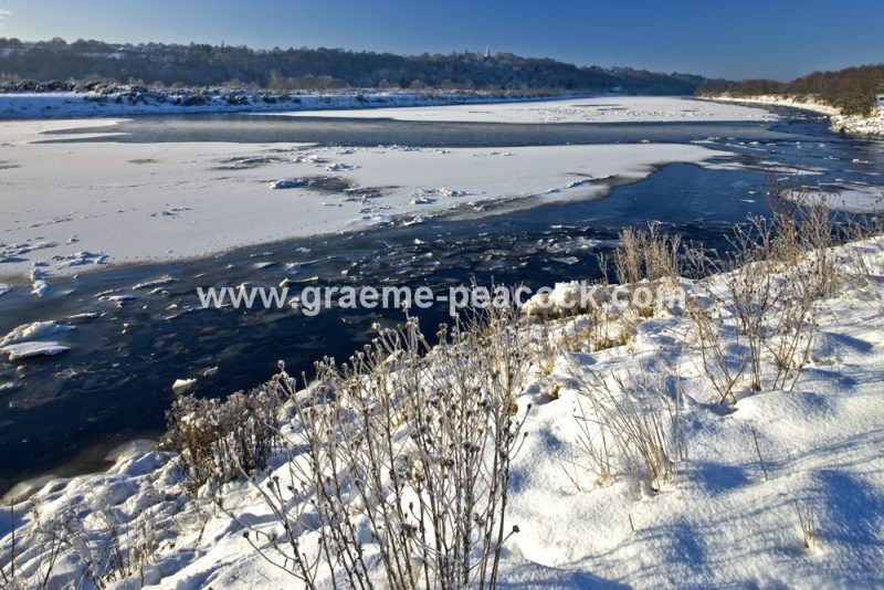 River Tyne in winter near Wylam,  Northumberland