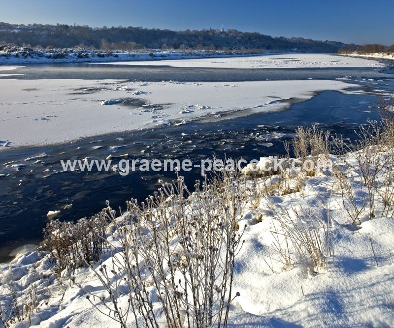 River Tyne in winter near Wylam,  Northumberland