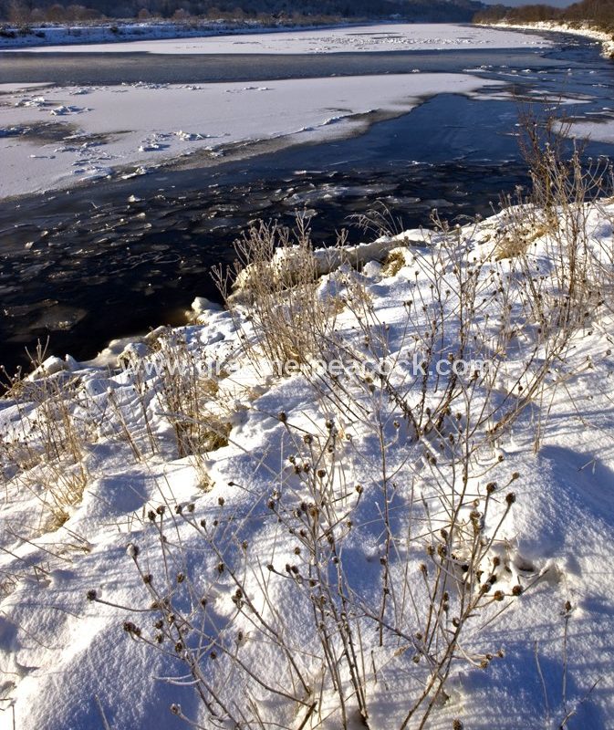 River Tyne in winter near Wylam,  Northumberland
