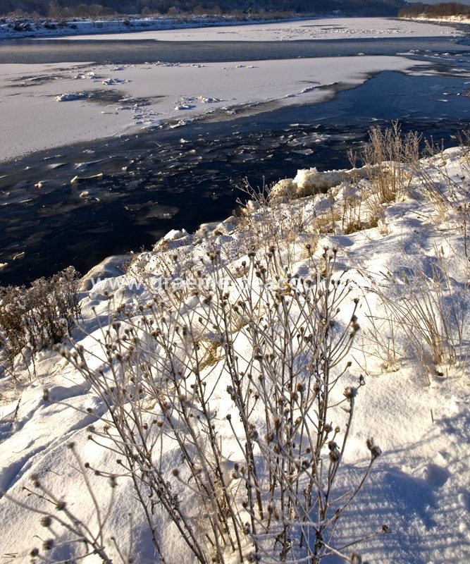 River Tyne in winter near Wylam,  Northumberland