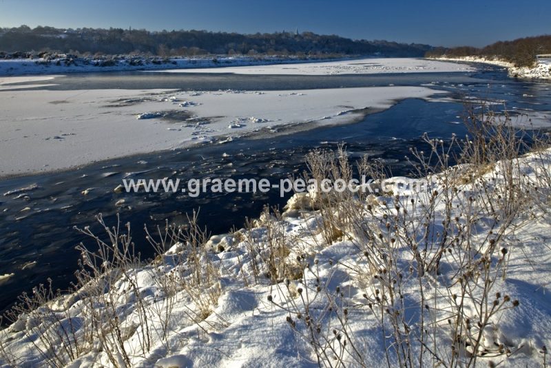 River Tyne in winter near Wylam,  Northumberland