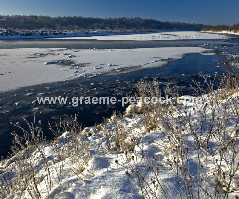 River Tyne in winter near Wylam,  Northumberland