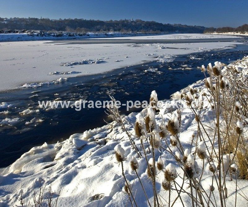 River Tyne in winter near Wylam,  Northumberland