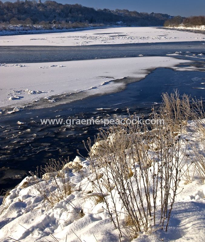 River Tyne in winter near Wylam,  Northumberland