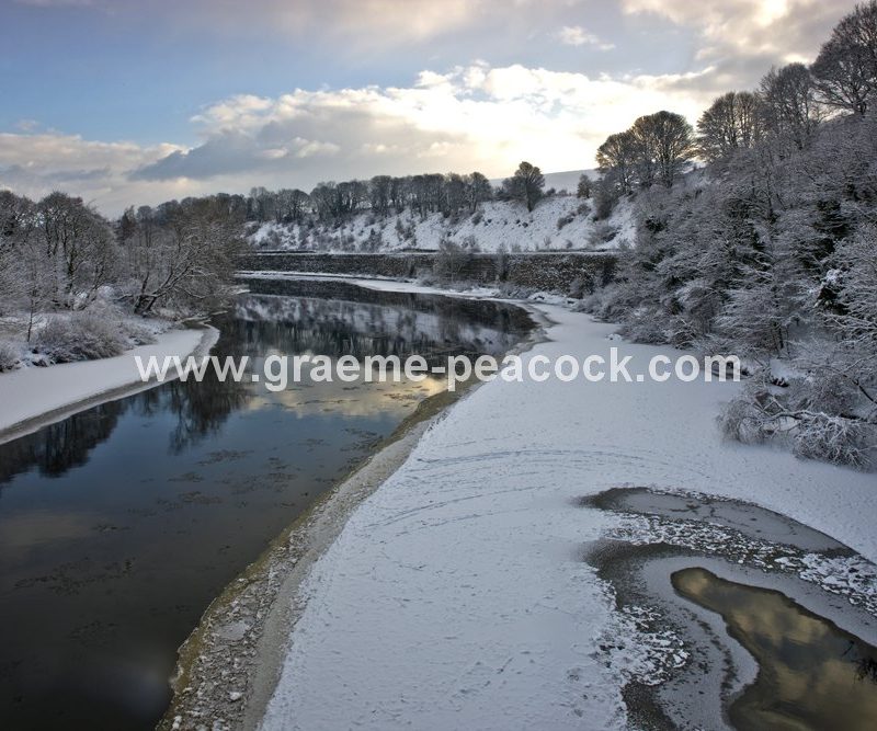 River Tyne in winter near Wylam,  Northumberland
