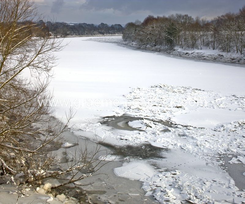 River Tyne in winter near Wylam,  Northumberland