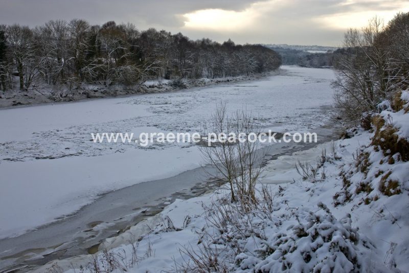 River Tyne in winter near Wylam,  Northumberland