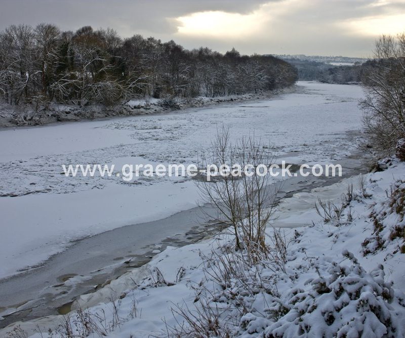 River Tyne in winter near Wylam,  Northumberland