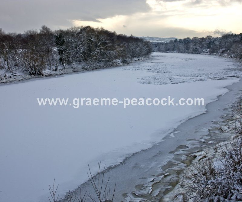 River Tyne in winter near Wylam,  Northumberland