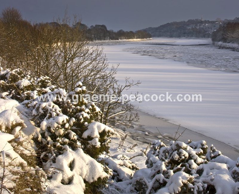 River Tyne in winter near Wylam,  Northumberland