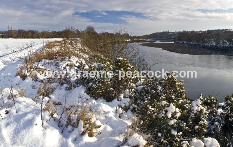 River Tyne in winter near Wylam,  Northumberland