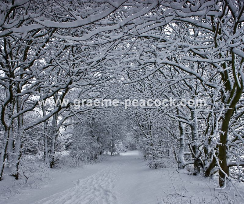 Tyne Riverside Country Park in winter near Newburn,  Tyne and Wear