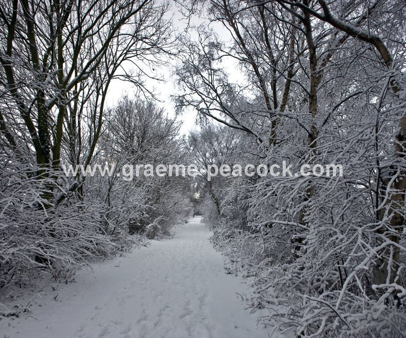 Tyne Riverside Country Park in winter near Newburn,  Tyne and Wear