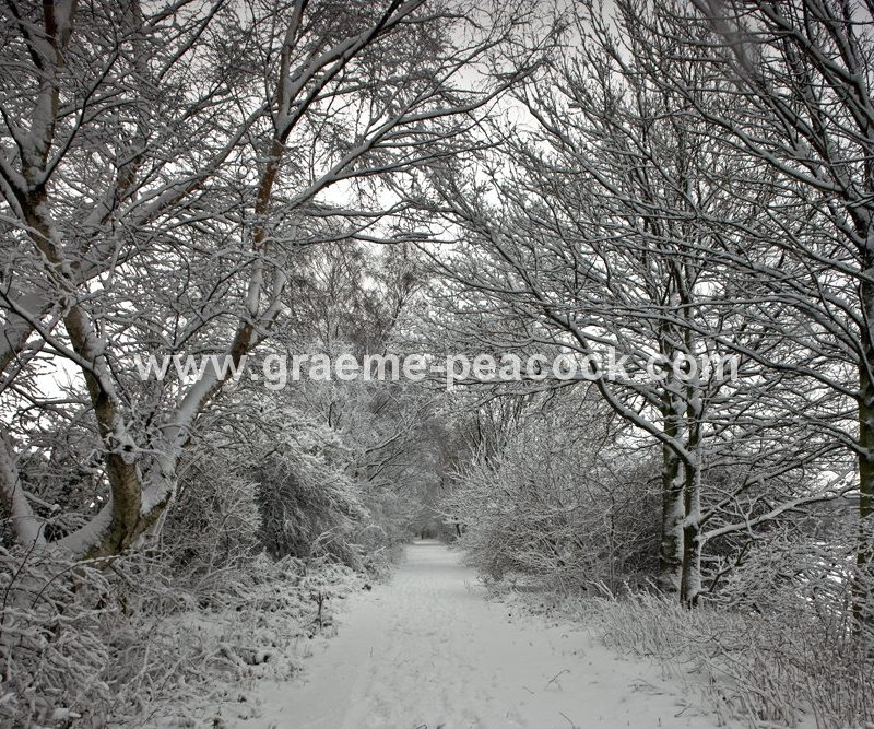 Tyne Riverside Country Park in winter near Newburn,  Tyne and Wear