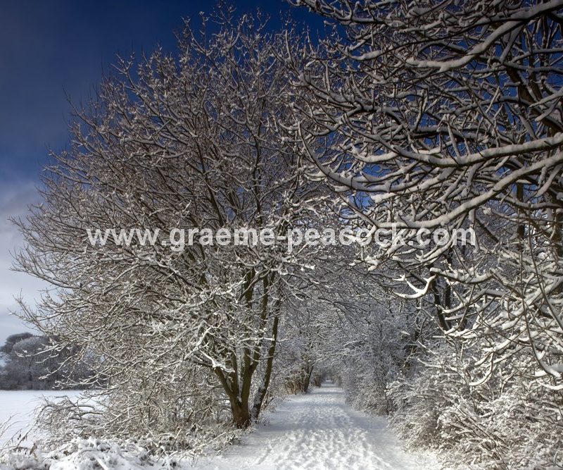 Tyne Riverside Country Park in winter near Newburn,  Tyne and Wear