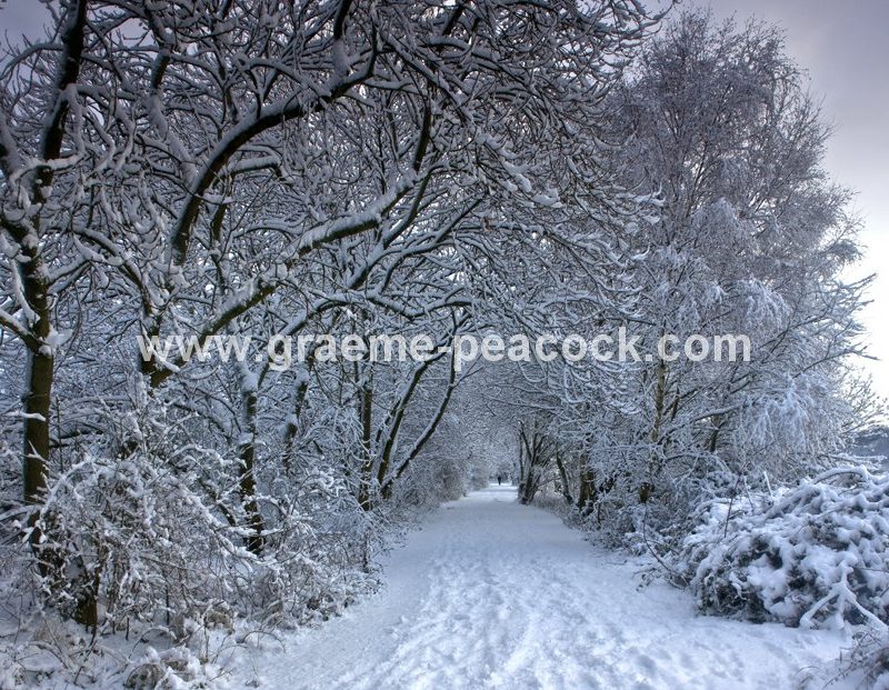 Tyne Riverside Country Park in winter near Newburn,  Tyne and Wear