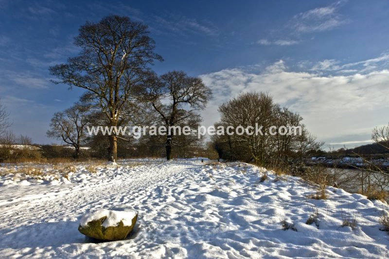Tyne Riverside Country Park in winter near Newburn,  Tyne and Wear
