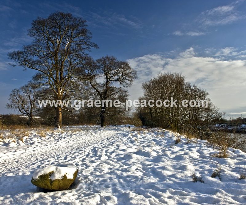 Tyne Riverside Country Park in winter near Newburn,  Tyne and Wear