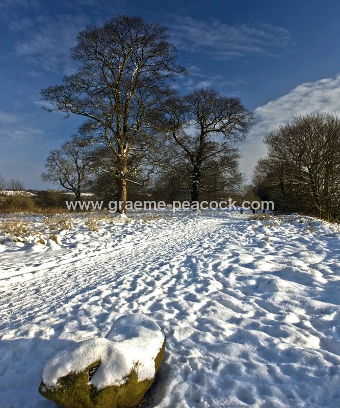 Tyne Riverside Country Park in winter near Newburn,  Tyne and Wear