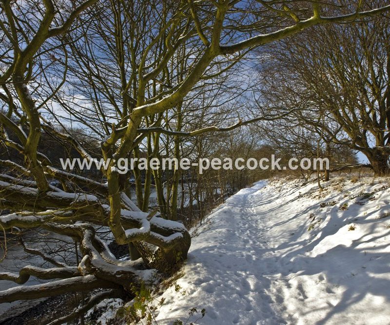 Tyne Riverside Country Park in winter near Newburn,  Tyne and Wear