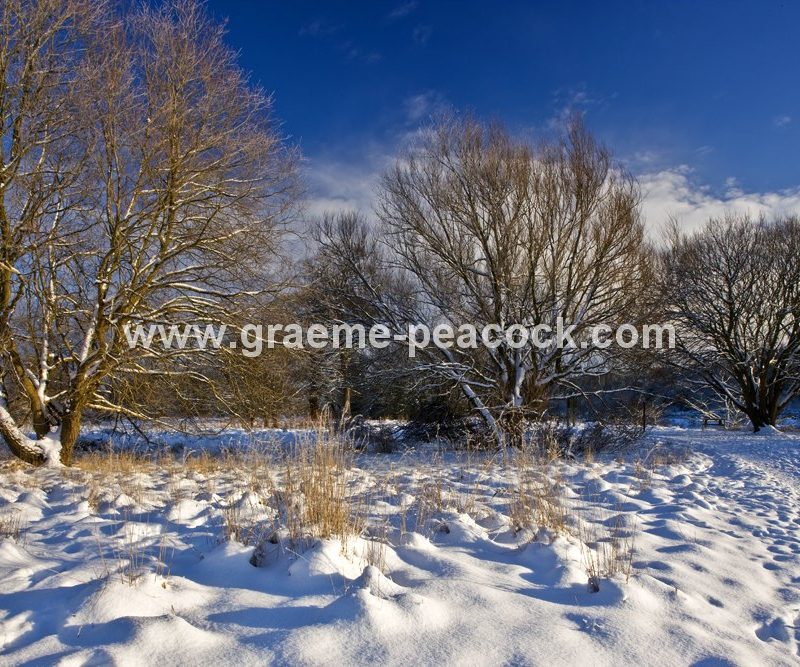 Tyne Riverside Country Park in winter near Newburn,  Tyne and Wear