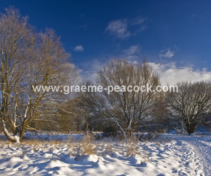 Tyne Riverside Country Park in winter near Newburn,  Tyne and Wear