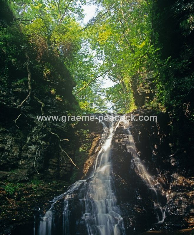 Hareshaw Linn waterfall near Bellingham, Northumberland National Park