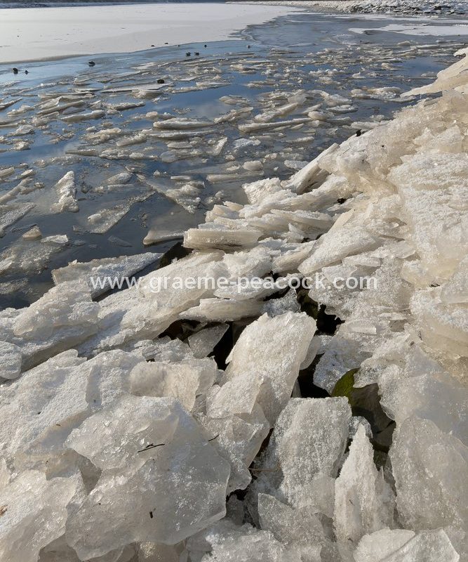 Frozen River Tyne near Wylam, Northumberland