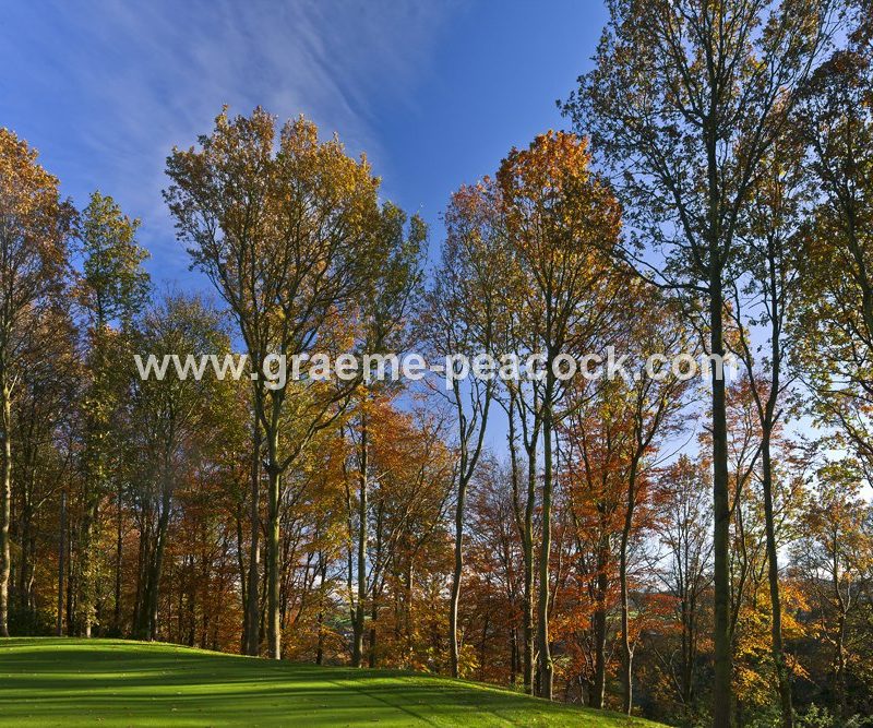 Autumn colours at Close House Golf and Country Club near Wylam, Northumberland