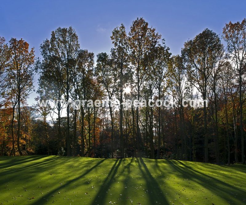 Autumn colours at Close House Golf and Country Club near Wylam, Northumberland