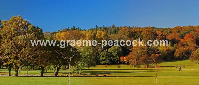 Autumn colours at Close House Golf and Country Club near Wylam, Northumberland