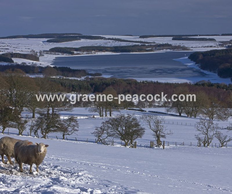 Derwent Reservoir seen from near Blanchland, Northumberland
