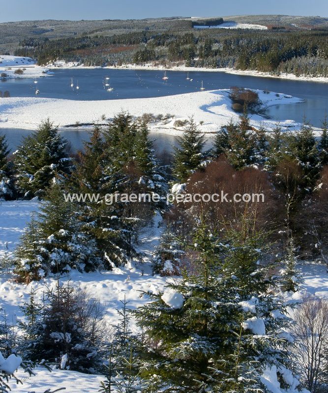 Kielder Water and Forest Park in winter, Northumberland