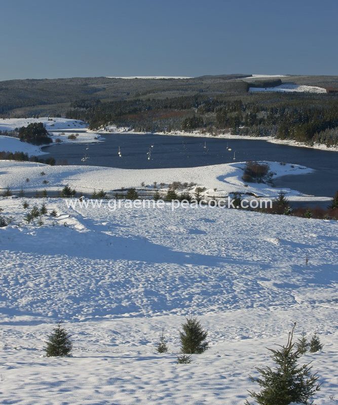Kielder Water and Forest Park in winter, Northumberland