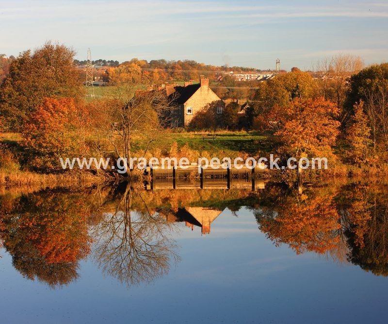 River Tyne Autumnal reflections near Wylam, Northumberland