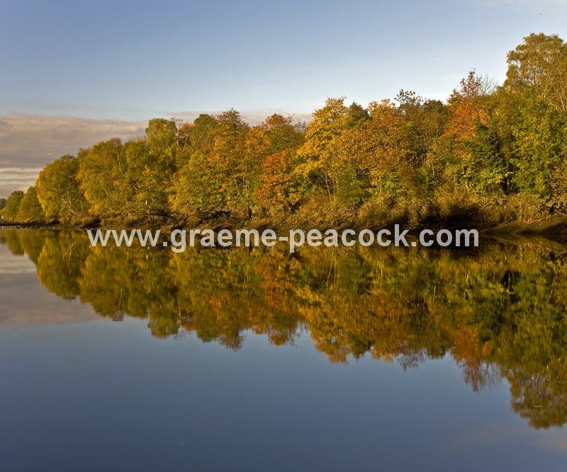River Tyne Autumnal reflections near Wylam, Northumberland