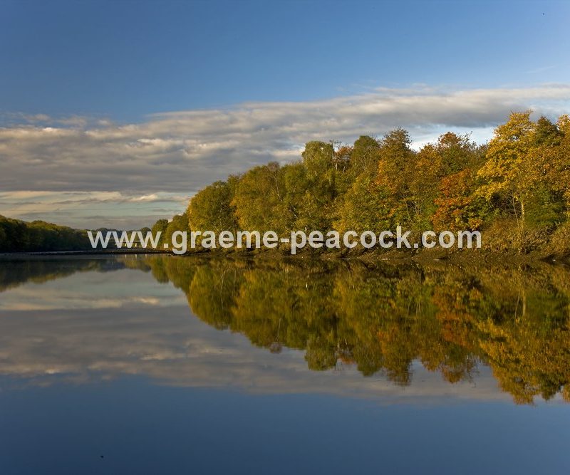 River Tyne Autumnal reflections near Wylam, Northumberland