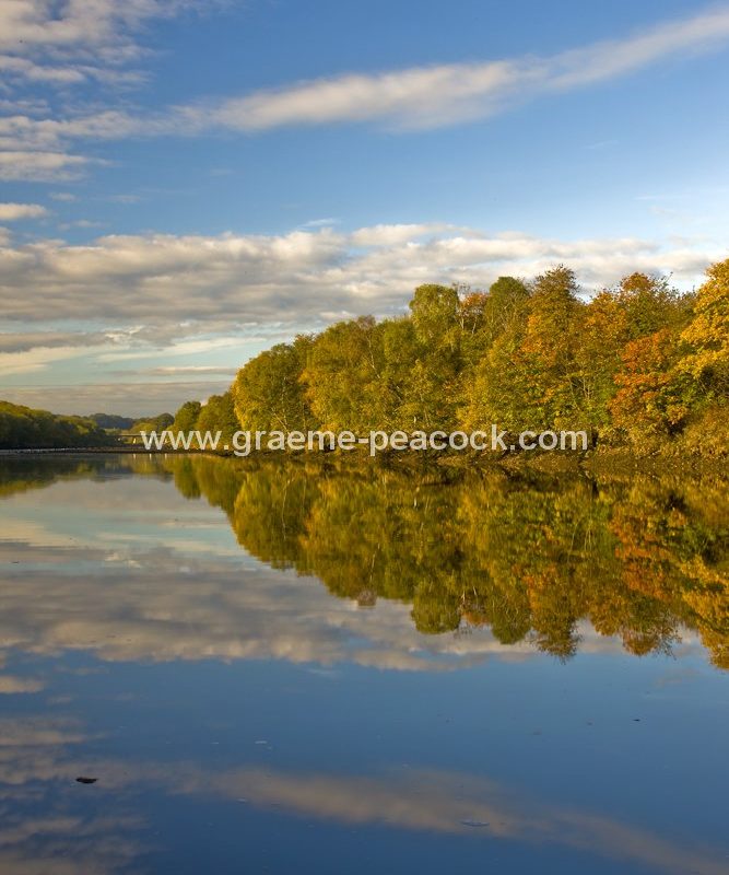 River Tyne Autumnal reflections near Wylam, Northumberland