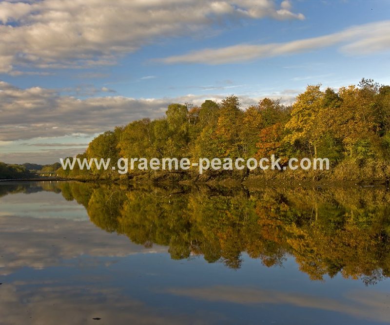 River Tyne Autumnal reflections near Wylam, Northumberland