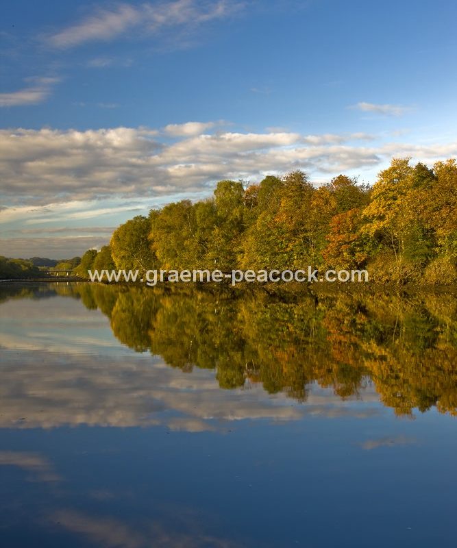River Tyne Autumnal reflections near Wylam, Northumberland