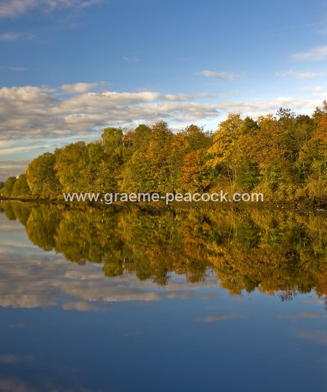 River Tyne Autumnal reflections near Wylam, Northumberland