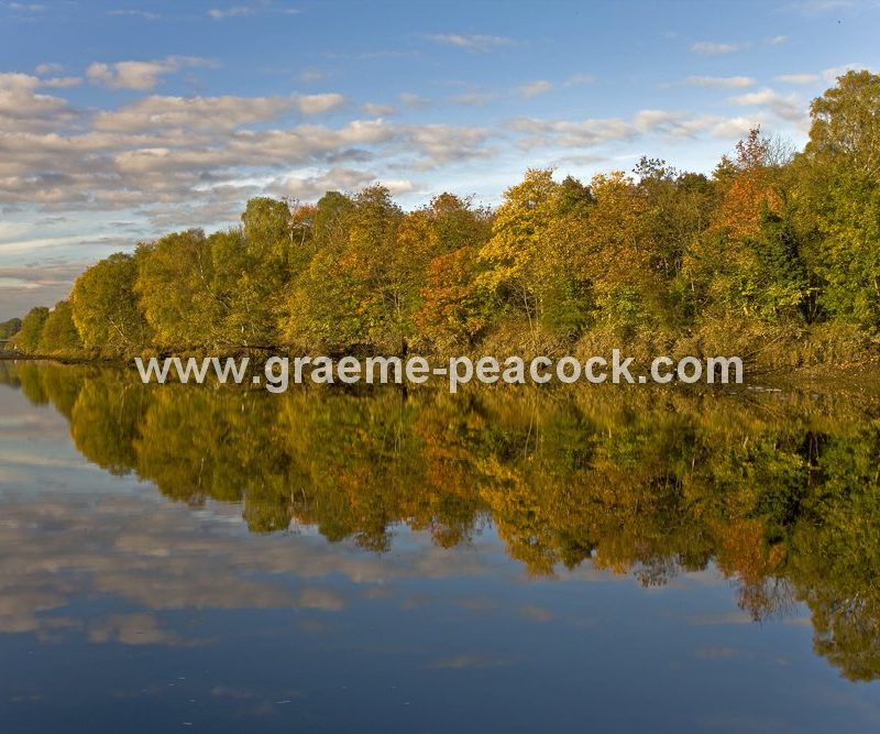 River Tyne Autumnal reflections near Wylam, Northumberland