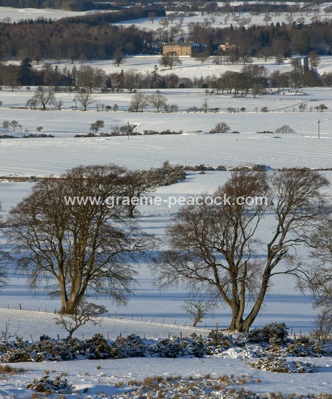 Wallington Estate seen from Shaftoe Crags near Belsay, Northumberland