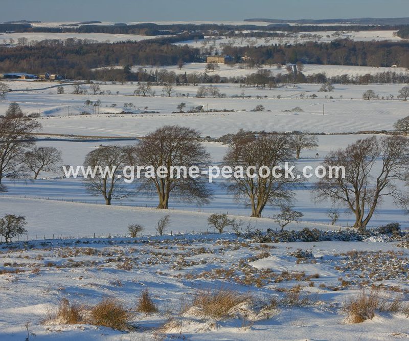 Wallington Estate seen from Shaftoe Crags near Belsay, Northumberland