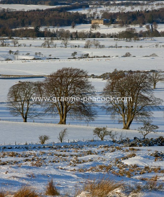 Wallington Estate seen from Shaftoe Crags near Belsay, Northumberland